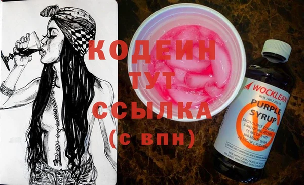 индика Покровск