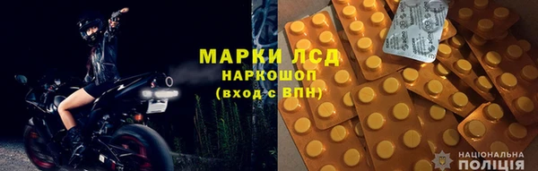 индика Абаза