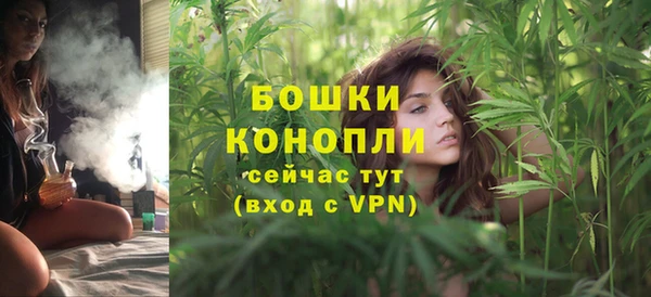 индика Покровск