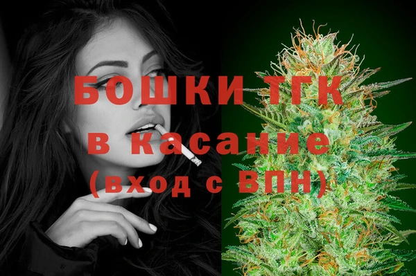 прущие грибы Алзамай