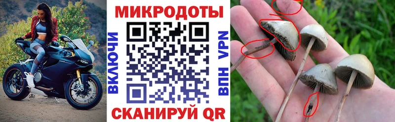 закладки  Инза  Галлюциногенные грибы MAGIC MUSHROOMS 